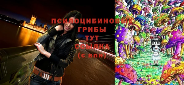 спайс Надым