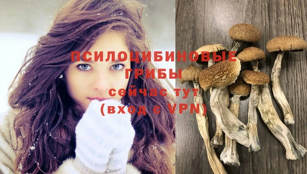 mdpv Орехово-Зуево