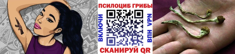 Псилоцибиновые грибы мухоморы  Пыталово 